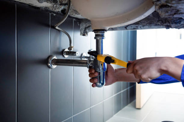 Professional Plumbing services in University Park, IL